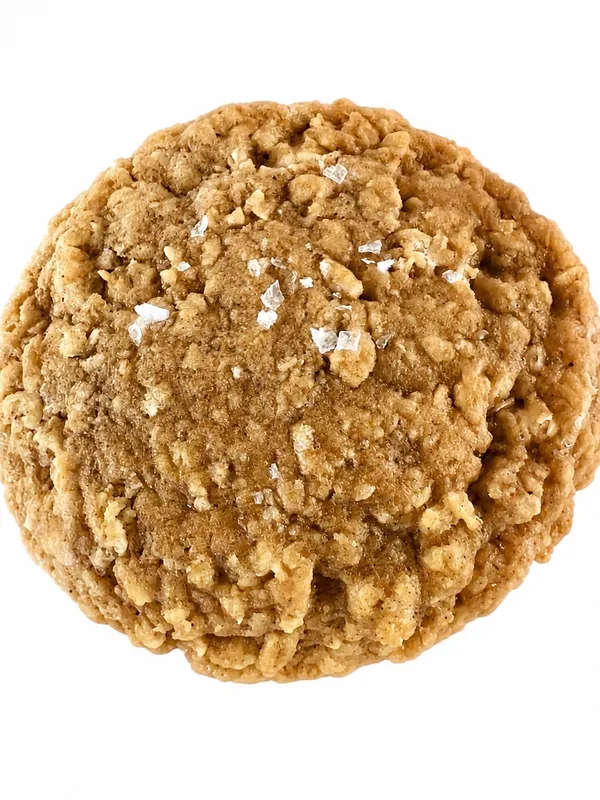 Mockingbird Bakes' oatmeal cookie. Sea salt, a welcome, gritty truth